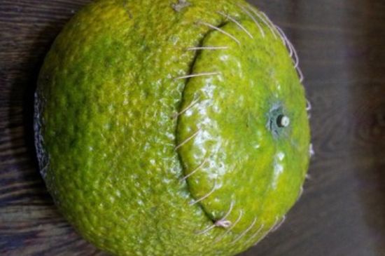 家庭自制柑普茶方法，小青柑制作9個(gè)步驟竅門（圖片）