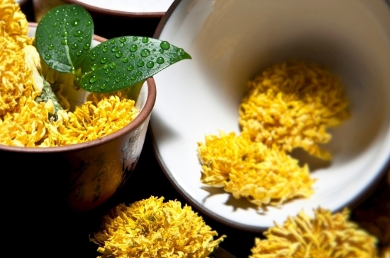 孕婦可以喝菊花茶嗎，菊花對胎兒有致畸作用？