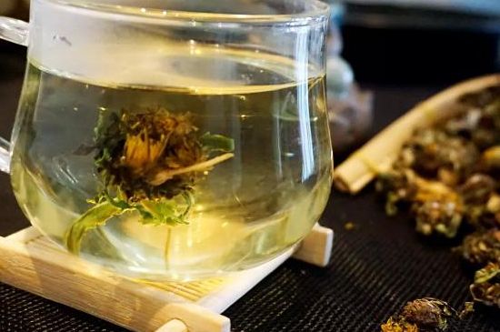 蒲公英最佳搭配，蒲公英茶和什么搭配泡水最佳