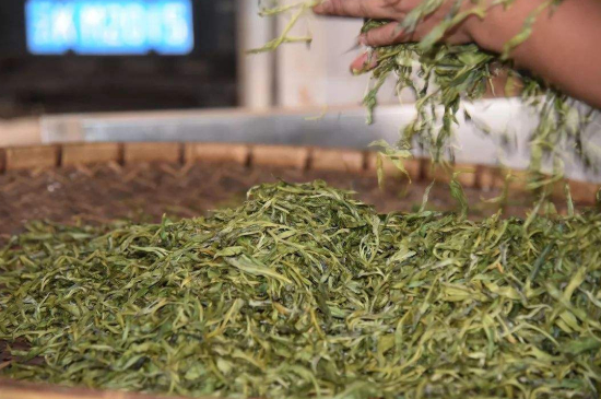 炒青綠茶與綠茶的區(qū)別，烘青和炒青哪個(gè)好喝？