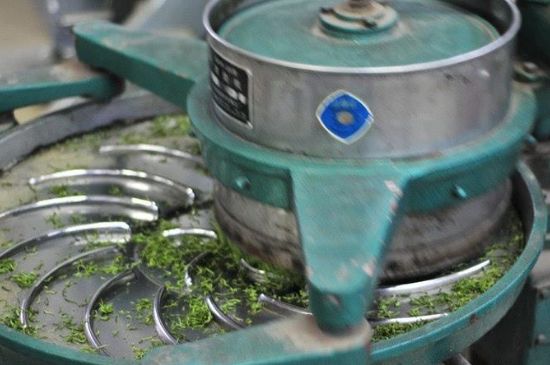 武夷巖茶的初制、精制加工工藝詳細(xì)講解