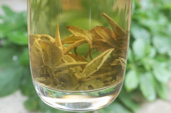 茉莉龍珠泡開后為什么都是梗，茉莉龍珠泡開后什么樣？