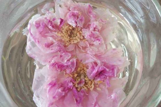 玫瑰花茶上火嗎，盲目喝玫瑰花茶易上火