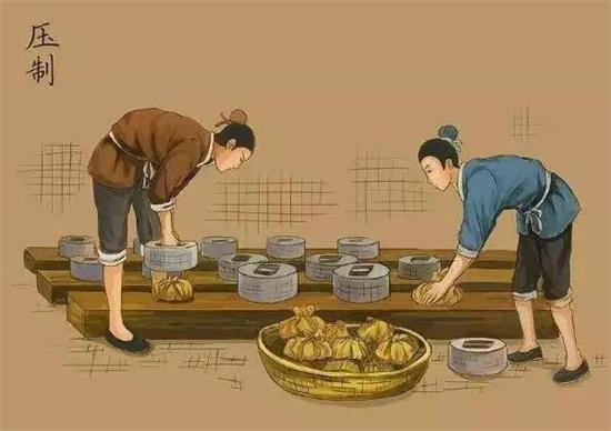 制茶八步驟，制茶工藝流程圖