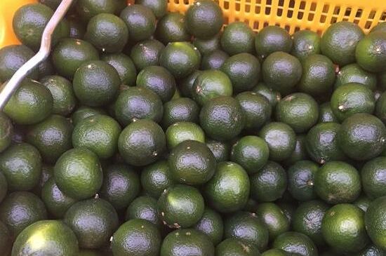 家庭自制柑普茶方法，小青柑制作9個(gè)步驟竅門（圖片）