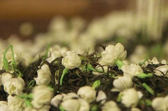 蒸茶器可以蒸花茶嗎，蒸茶器能用來蒸茉莉花茶嗎？