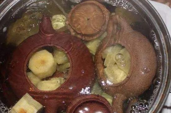 開壺放豆腐是錯誤的，新買的紫砂壺正確開壺建議