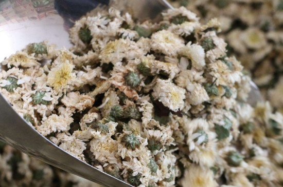 菊花茶買(mǎi)小朵還是大朵，泡茶用的小菊花和大菊花哪個(gè)好