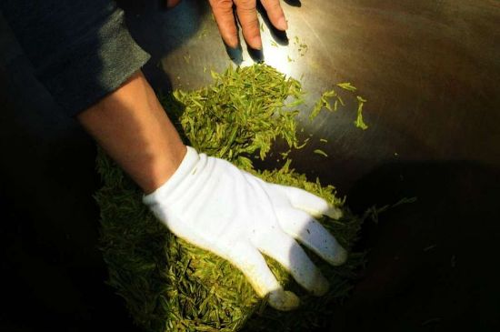 茶葉怎么炒制才香，怎樣炒茶葉更香？