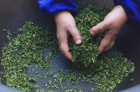 自家炒茶葉怎么炒，自己炒茶葉的步驟
