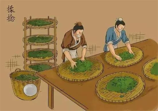 制茶八步驟，制茶工藝流程圖