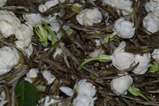 茉莉龍珠怎么做的，茉莉龍珠的制作工藝