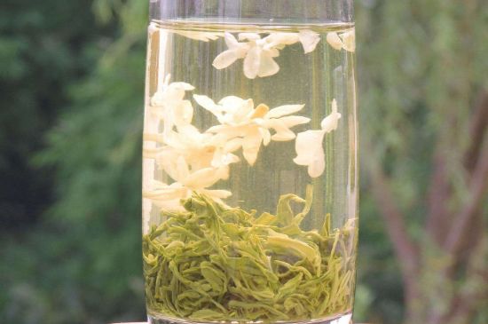 茉莉龍珠可以和什么一起泡茶，茉莉龍珠茶能加蜂蜜嗎？