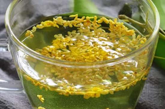 茉莉茶一次泡幾朵，茉莉茶放多少