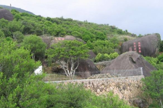 宋種一號價值為什么高，鳳凰單樅宋種1號價格與產(chǎn)量多少？