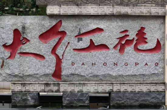 母樹大紅袍給誰喝了，為什么母樹大紅袍叫三棵六株？