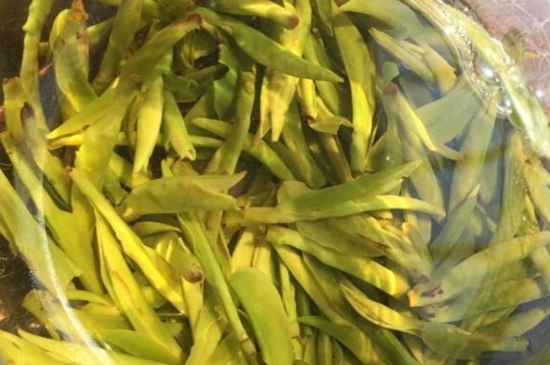 龍井是明前的好還是雨前的好，明前茶和雨前茶哪個(gè)好喝？