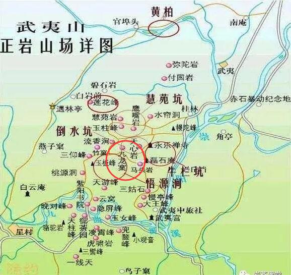 母樹大紅袍給誰喝了，為什么母樹大紅袍叫三棵六株？