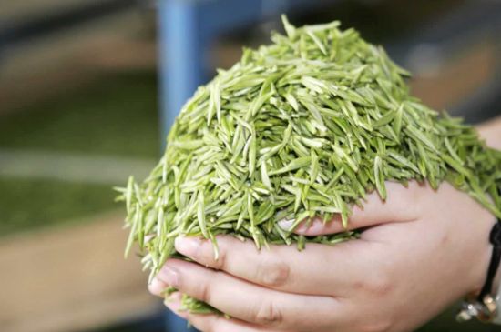 高山云霧茶屬于什么茶，高山云霧茶哪里的最好