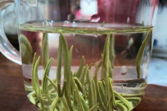 踏雪蘭妃是什么茶，踏雪蘭妃是哪里的茶葉?