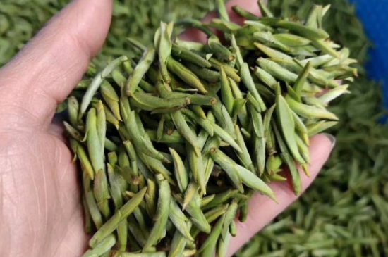 龍井茶好壞的鑒別圖片，如何區(qū)別龍井茶的好壞？