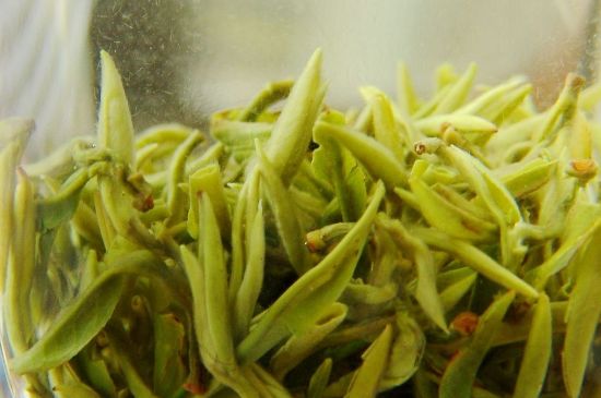 碧螺春為什么泡水渾濁，碧螺春茶葉泡水感覺(jué)很臟是混濁的