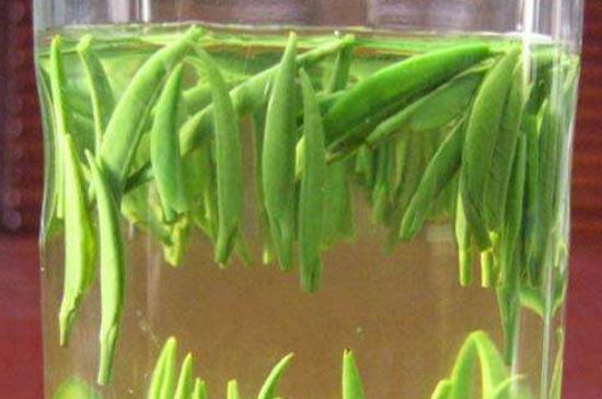 竹葉青和毛尖的區(qū)別，毛尖和竹葉青怎么分辨？