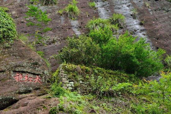 武夷巖茶大紅袍，喝起來是什么味道？