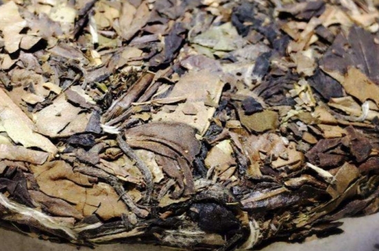 煮茶的步驟圖解，正確的煮白茶方法！