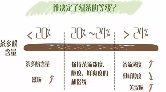 什么綠茶口味重口感濃郁，口味比較重的綠茶都有那些？