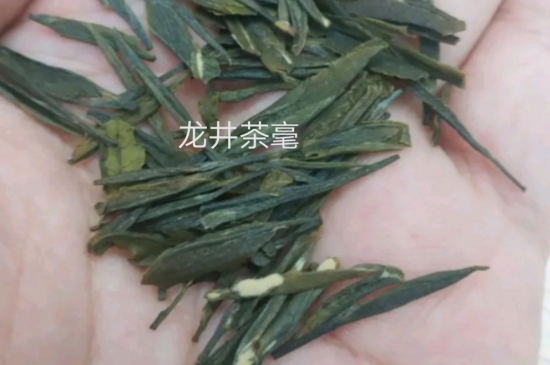 西湖龍井茶毫和發(fā)霉區(qū)別圖片，長霉的龍井茶葉會是什么樣？