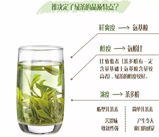 什么綠茶口味重口感濃郁，口味比較重的綠茶都有那些？