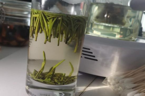 金壇雀舌算不算好茶，金壇雀舌屬于什么檔次茶葉？