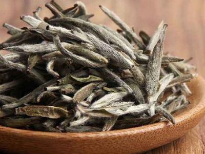 白茶有哪些品種排名，<a href=http://m.zzniy.com/fenlei/baicha/ target=_blank class=infotextkey>白茶的種類</a>大全