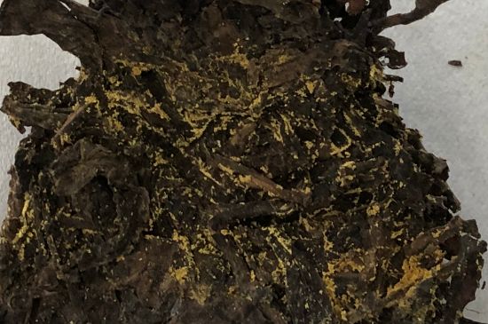 怎么知道涇渭茯茶是否變質(zhì)，茯磚茶金花和發(fā)霉的區(qū)別