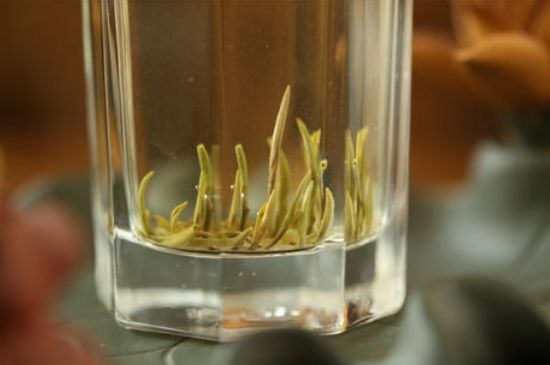 踏雪蘭妃是什么茶，踏雪蘭妃是哪里的茶葉?