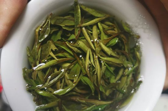 什么人不能喝白茶，白茶不宜什么人喝？