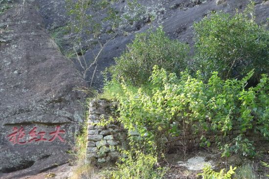 母樹大紅袍給誰喝了，為什么母樹大紅袍叫三棵六株？