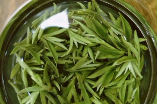 什么綠茶茶葉唇齒留香，哪個品種綠茶香氣好？