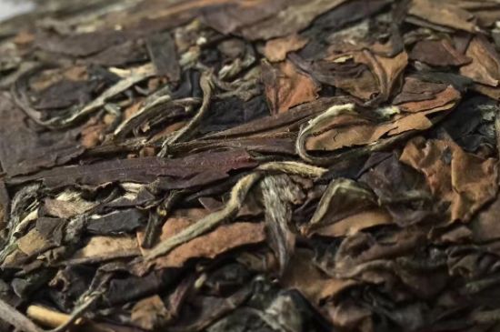 福鼎白茶要喝老的嗎，為什么喝白茶要喝老茶存新茶？