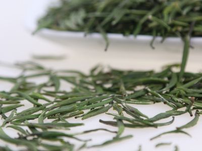 霍山黃芽算是好茶嗎，霍山黃芽屬于什么茶？