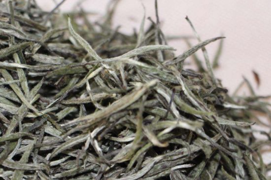 什么人不能喝白茶，白茶不宜什么人喝？