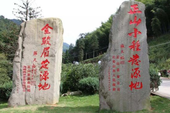 300塊錢的金駿眉能喝嗎，兩三百多金駿眉和一千多區(qū)別