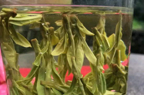 什么綠茶最香最好喝，綠茶口感與香氣排名