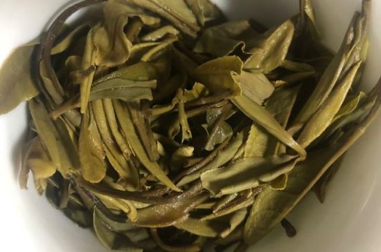 三年白茶賽砒霜，這是真的嗎？