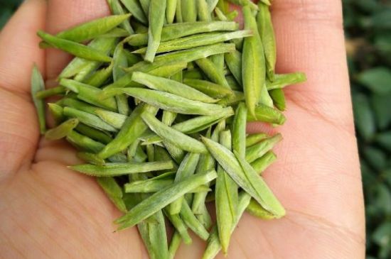 什么綠茶味道濃香，那個(gè)綠茶比較濃香？