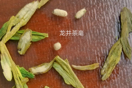 西湖龍井茶毫和發(fā)霉區(qū)別圖片，長霉的龍井茶葉會是什么樣？