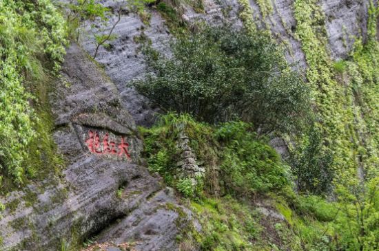 大紅袍為什么沒保質期，武夷巖茶大紅袍能放幾年？