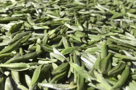 白毫銀針年份久的有什么香，陳年白毫銀針的香氣