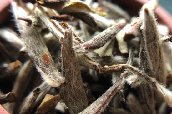 白毫銀針年份越久越好嗎，銀針白毫是否越陳越好